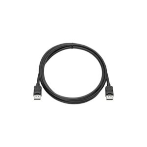 Cable DisplayPort a DisplayPort HP 2MT